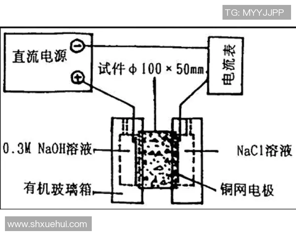 重庆乒乓球队边路渗透战术分析及其对比赛结果的影响探讨
