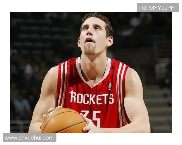 03年麦迪对阵活塞的经典时刻回顾与精彩集锦分析